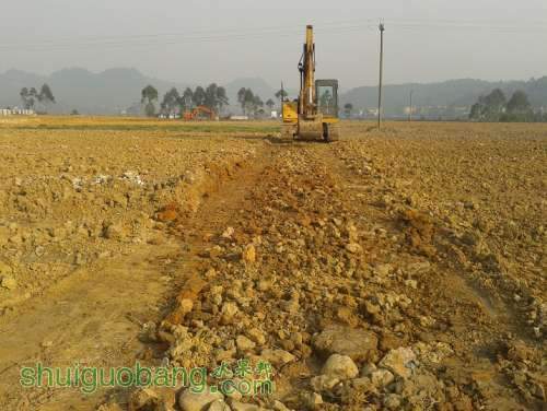 20131211_095935.jpg