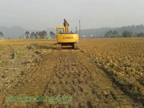 20131211_100210.jpg