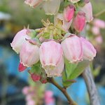 image002.jpg