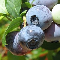 image028.jpg