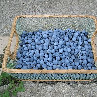 image041.jpg