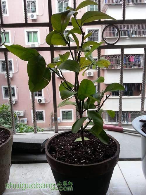 20131213_165140.jpg