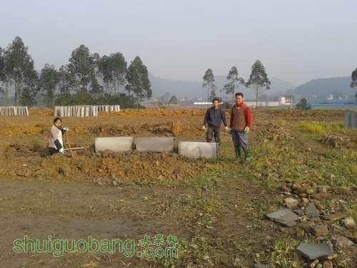 20131213_100930.jpg