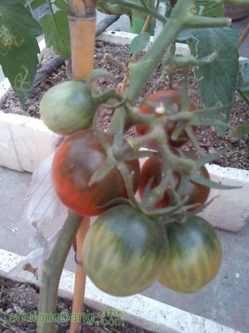 QQͼƬ20131214154443.jpg