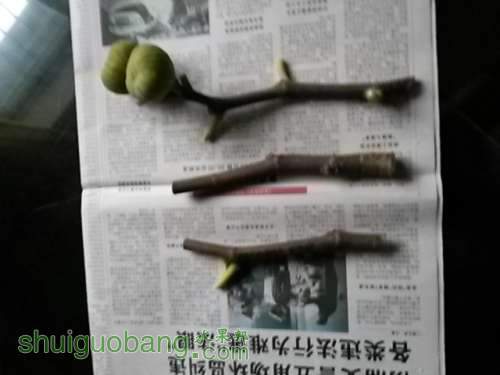 20131214_162519.jpg