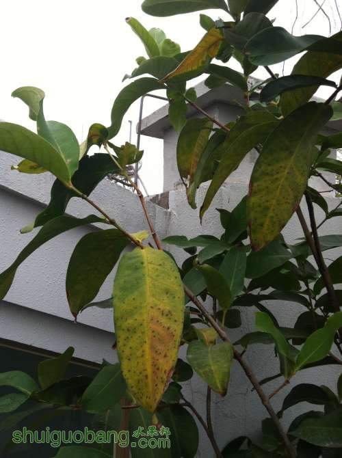 2013-12-14 101343.jpg
