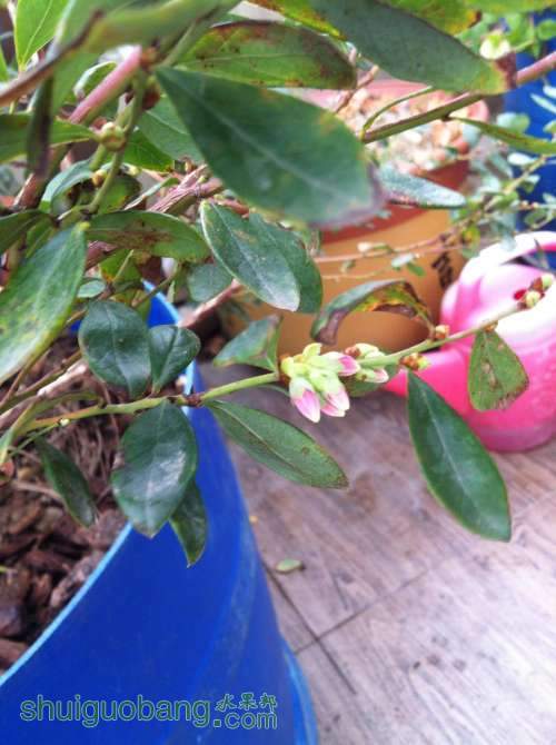 2013-12-14 100706.jpg