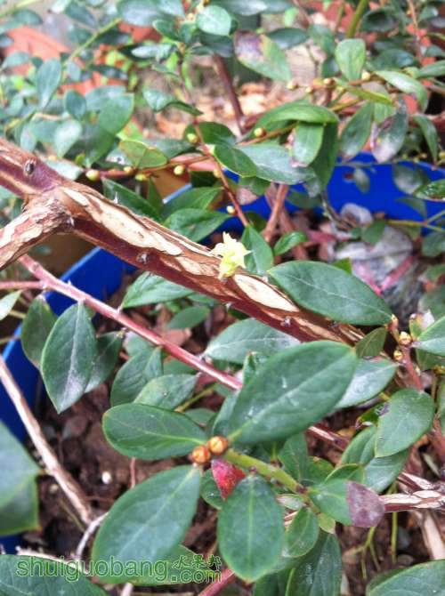 2013-12-14 101207.jpg
