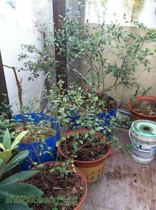 2013-12-14 101224.jpg