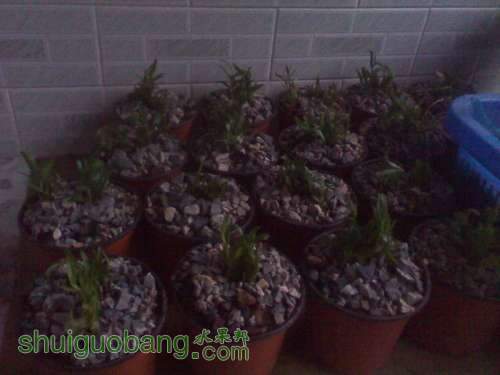 IMG_20131217_161158.jpg