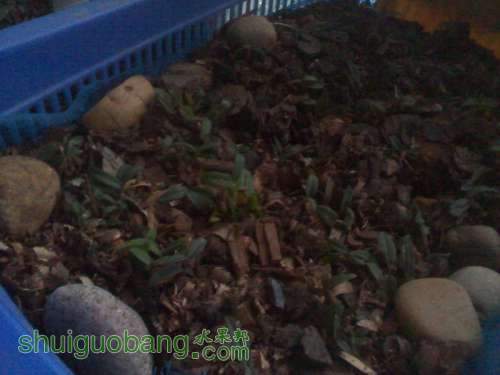 IMG_20131217_161229.jpg