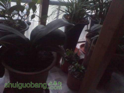 IMG_20131217_161255.jpg