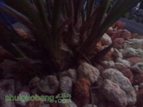 IMG_20131217_161413.jpg