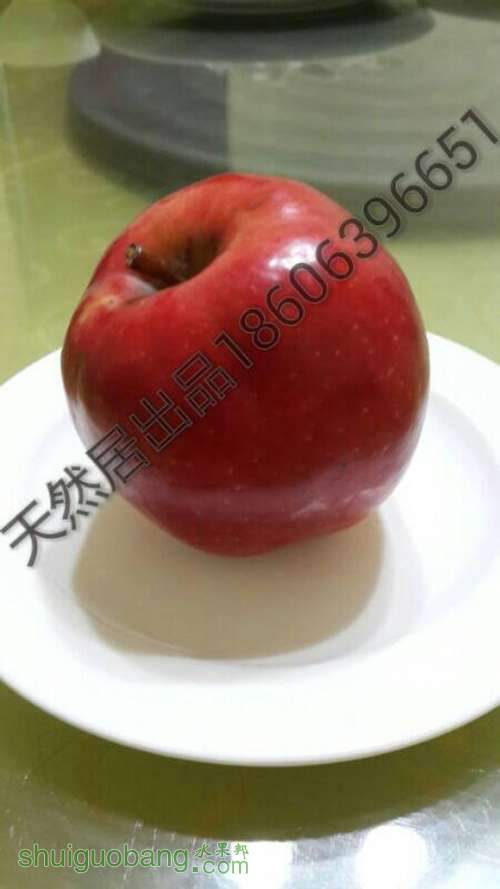 a81e94eef01f3a291a7ddaeb9b25bc315c607c23.jpg
