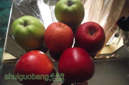 DSCF2320.JPG