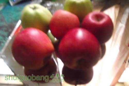 DSCF2321.JPG