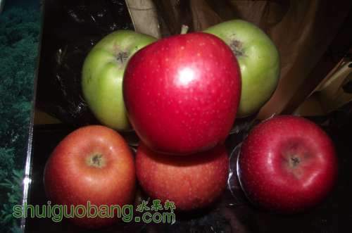 DSCF2323.JPG