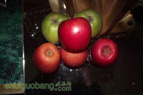 DSCF2324.JPG