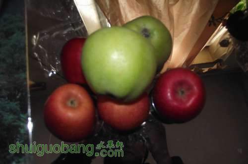 DSCF2325.JPG