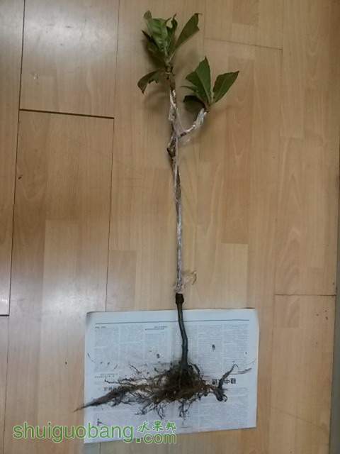 20131218_130943.JPG