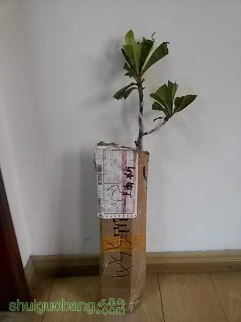 20131218_130638.jpg