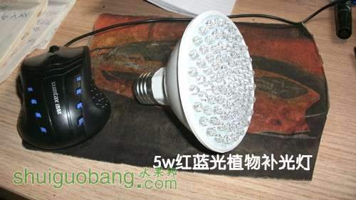 GEDC0453_.jpg