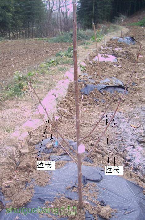 QQͼƬ20131221113844b.JPG