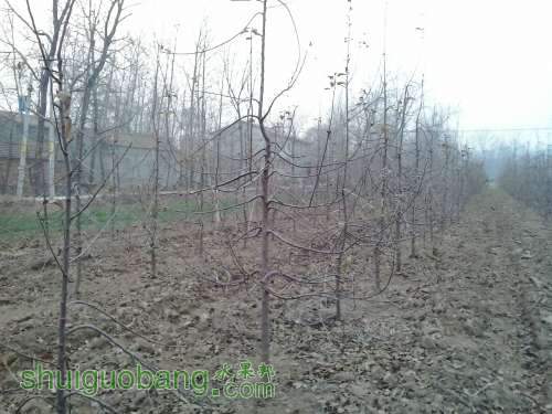 20131223_164631.jpg