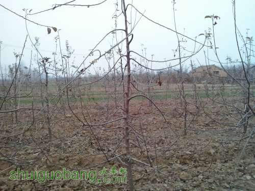 20131223_164750.jpg