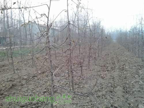 20131223_164803.jpg