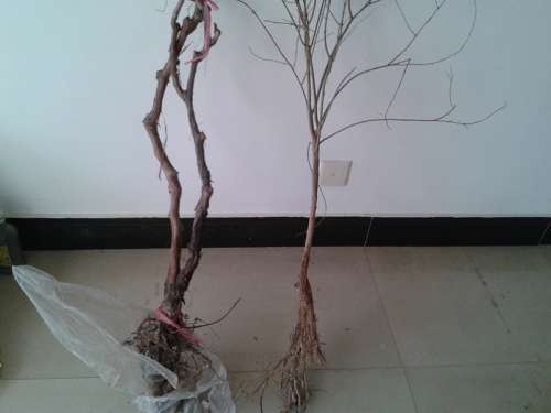 20131224_150220.jpg