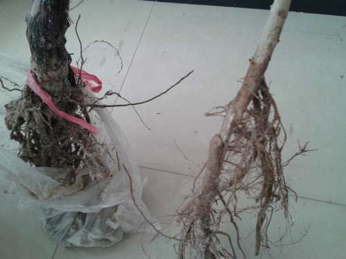20131224_150235.jpg