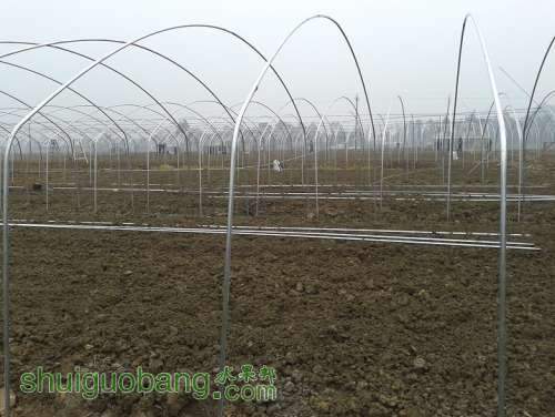 20131224_114452.jpg