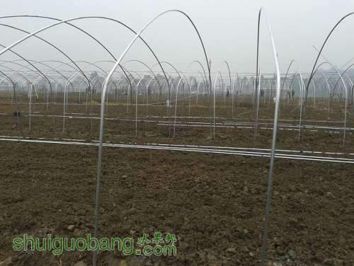 20131224_114459.jpg