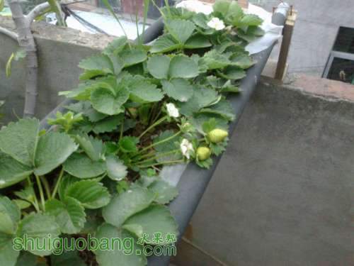 201312072176.jpg