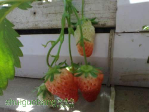 201204011440.jpg
