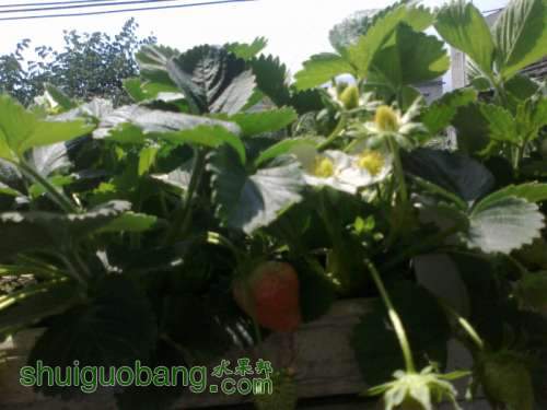 201204011444.jpg