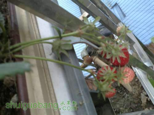 201204011453.jpg