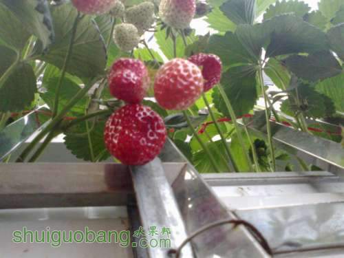 201204011454.jpg