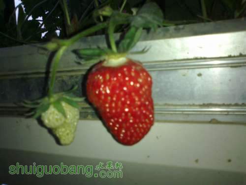 201204011455.jpg