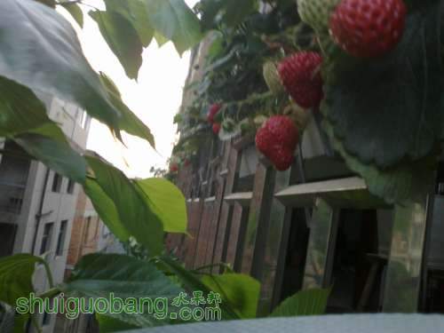 201204011457.jpg