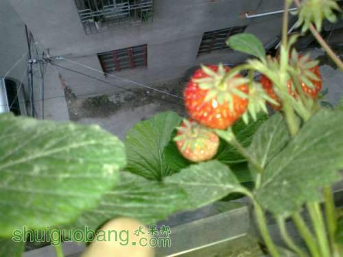 201204011459.jpg