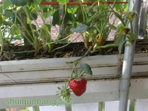 201204031463.jpg