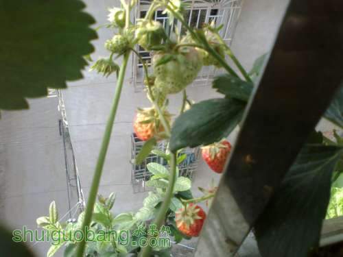 201204031465.jpg