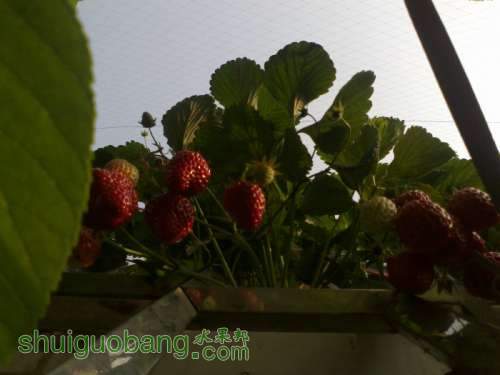 201204031467.jpg