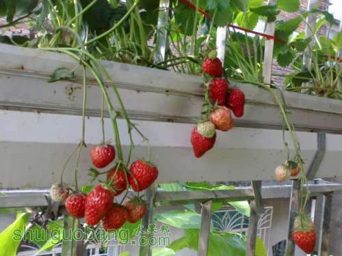 201204031472.jpg