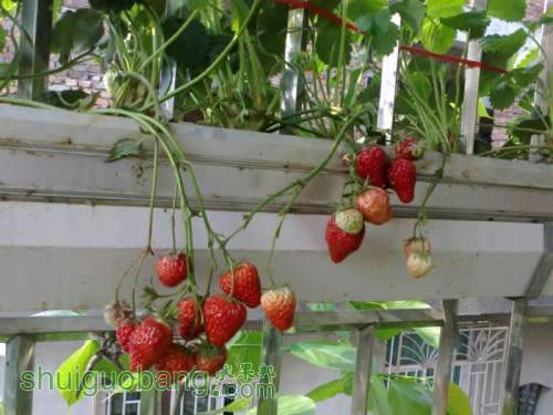 201204031473.jpg