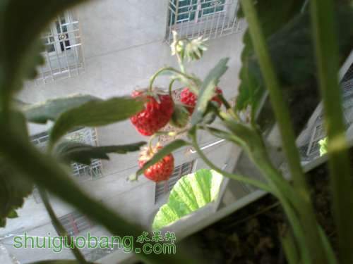 201204031474.jpg