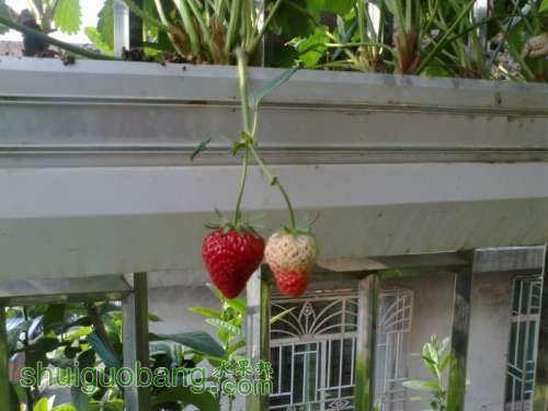 201204031475.jpg
