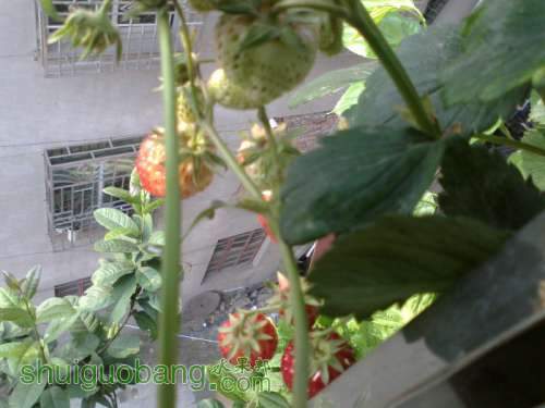 201204031476.jpg